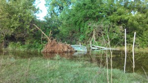 Flash Flood, Gate to Creek 7/30/13